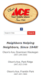 Mobile Screenshot of olsonsace.com